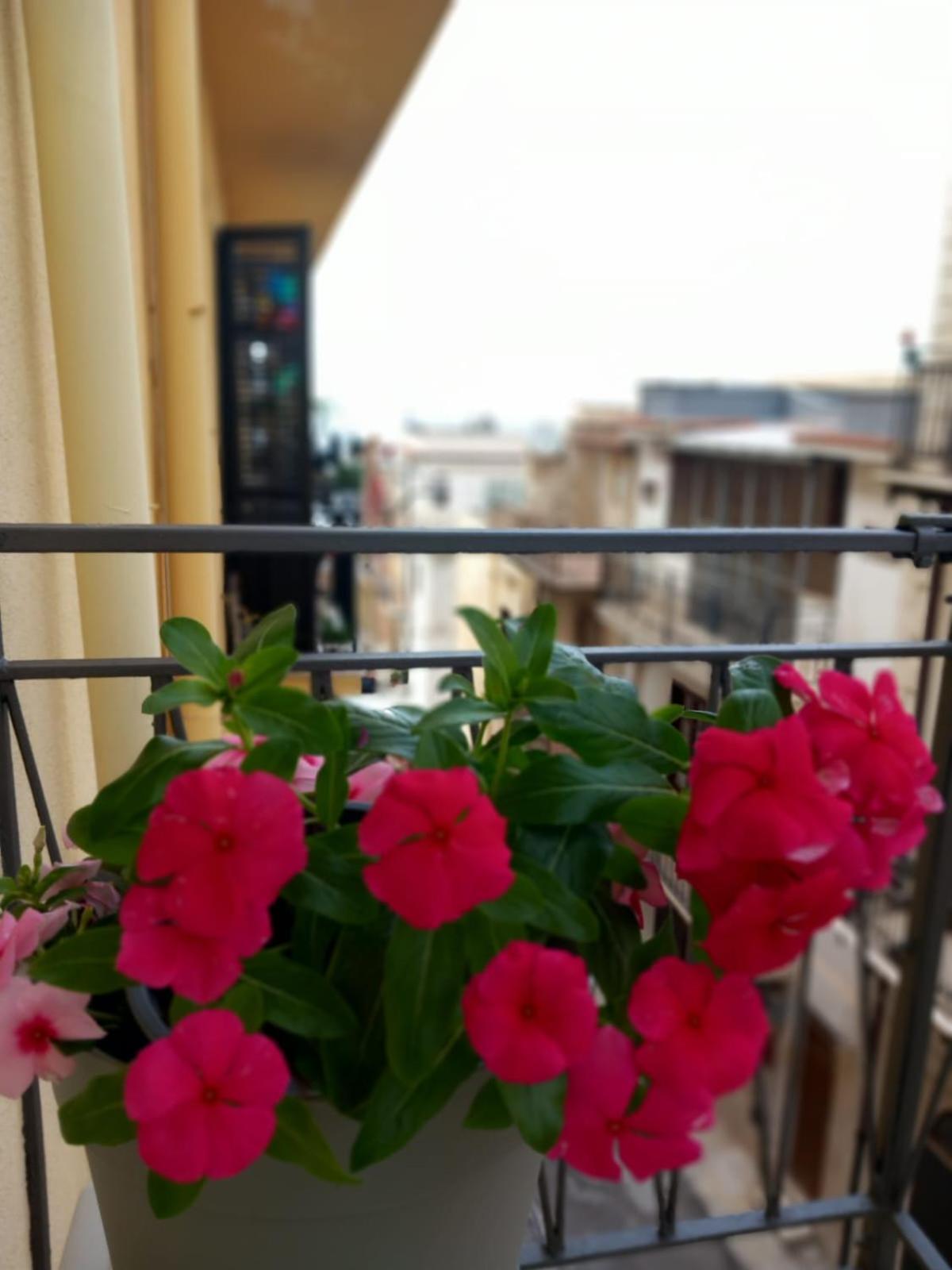 Caterina'S Room Castellammare del Golfo Dış mekan fotoğraf